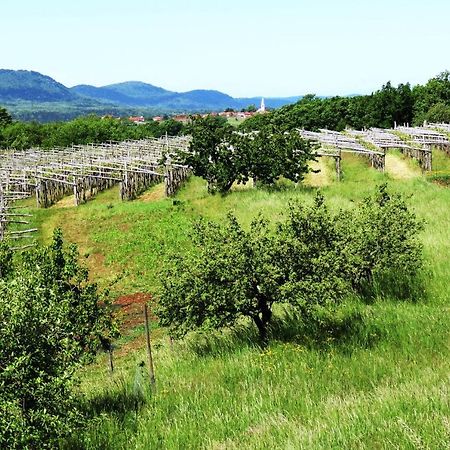 Appartamento Prenocisca Iris Sežana Esterno foto